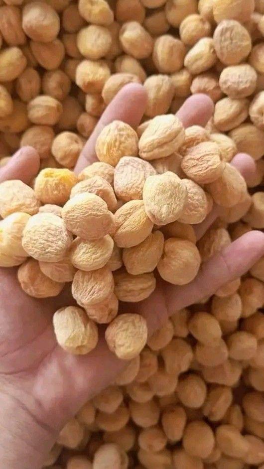 Apricots